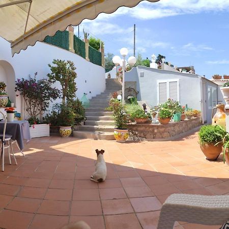 אנה קאפרי B&B Villa Cristina מראה חיצוני תמונה