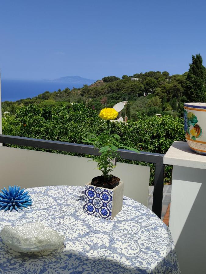 אנה קאפרי B&B Villa Cristina מראה חיצוני תמונה