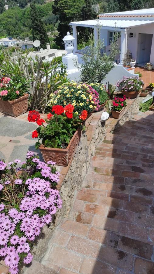 אנה קאפרי B&B Villa Cristina מראה חיצוני תמונה