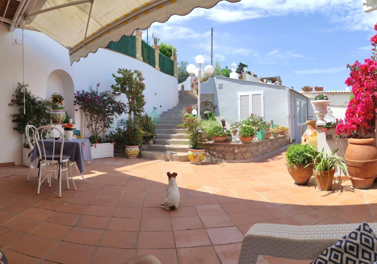 אנה קאפרי B&B Villa Cristina מראה חיצוני תמונה