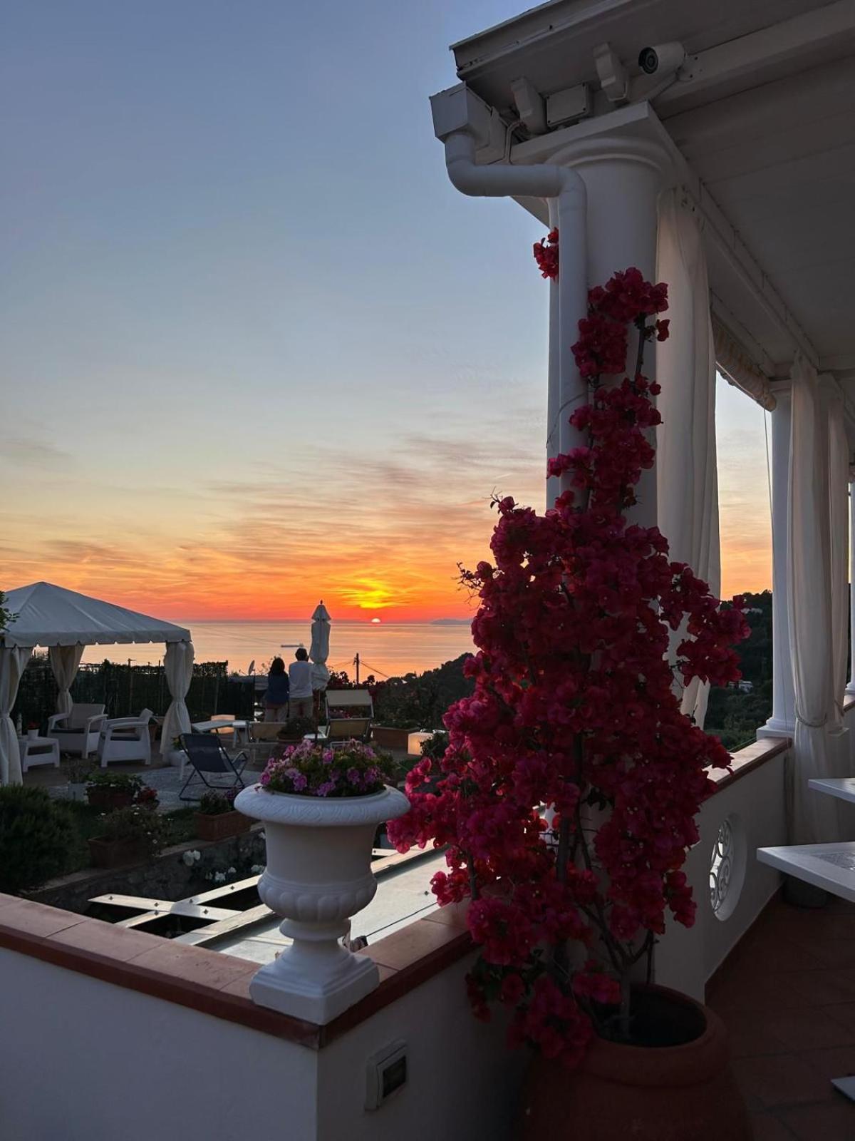 אנה קאפרי B&B Villa Cristina מראה חיצוני תמונה