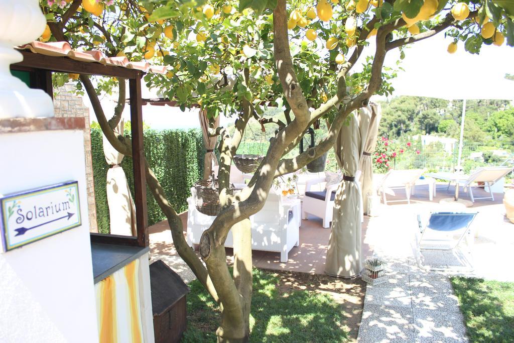 אנה קאפרי B&B Villa Cristina מראה חיצוני תמונה